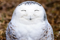 animal_test1.jpg